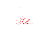Ask Sellena Business Training Group
